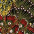 Bush Banana Australians Collection