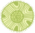 Aboriginal Artwork